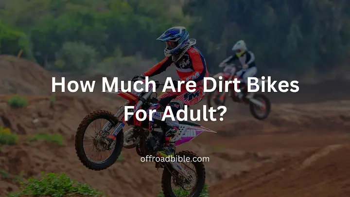 How Much Are Dirt Bikes For Adult?