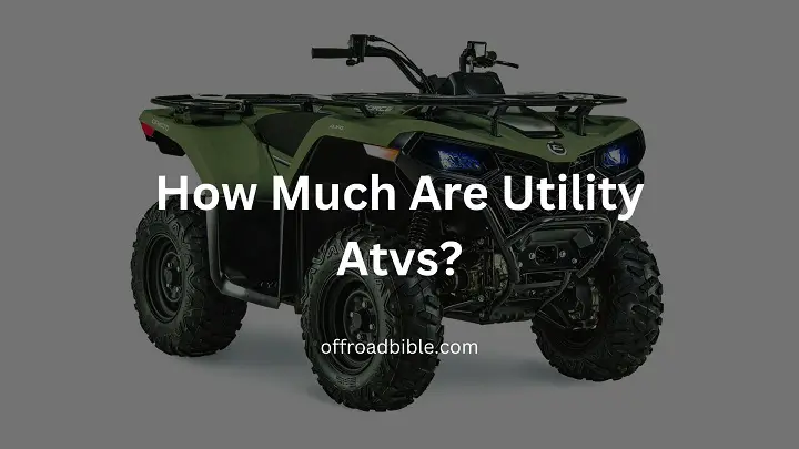 How Much Are Utility Atvs?
